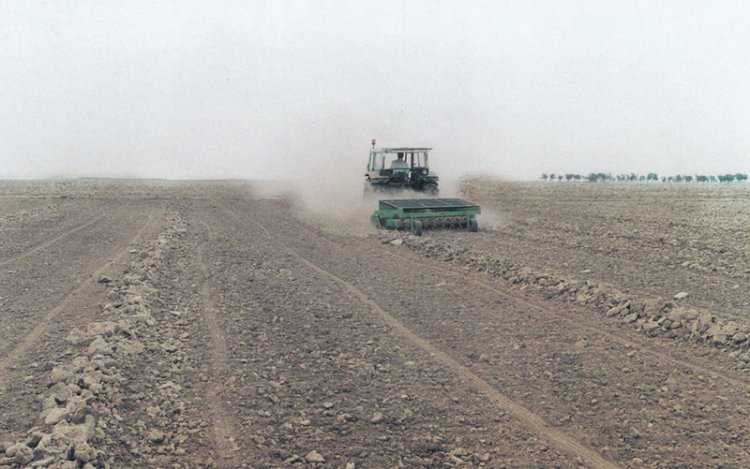 STEINRECHEN RHR3000 - zum Schließen ins Bild klicken
